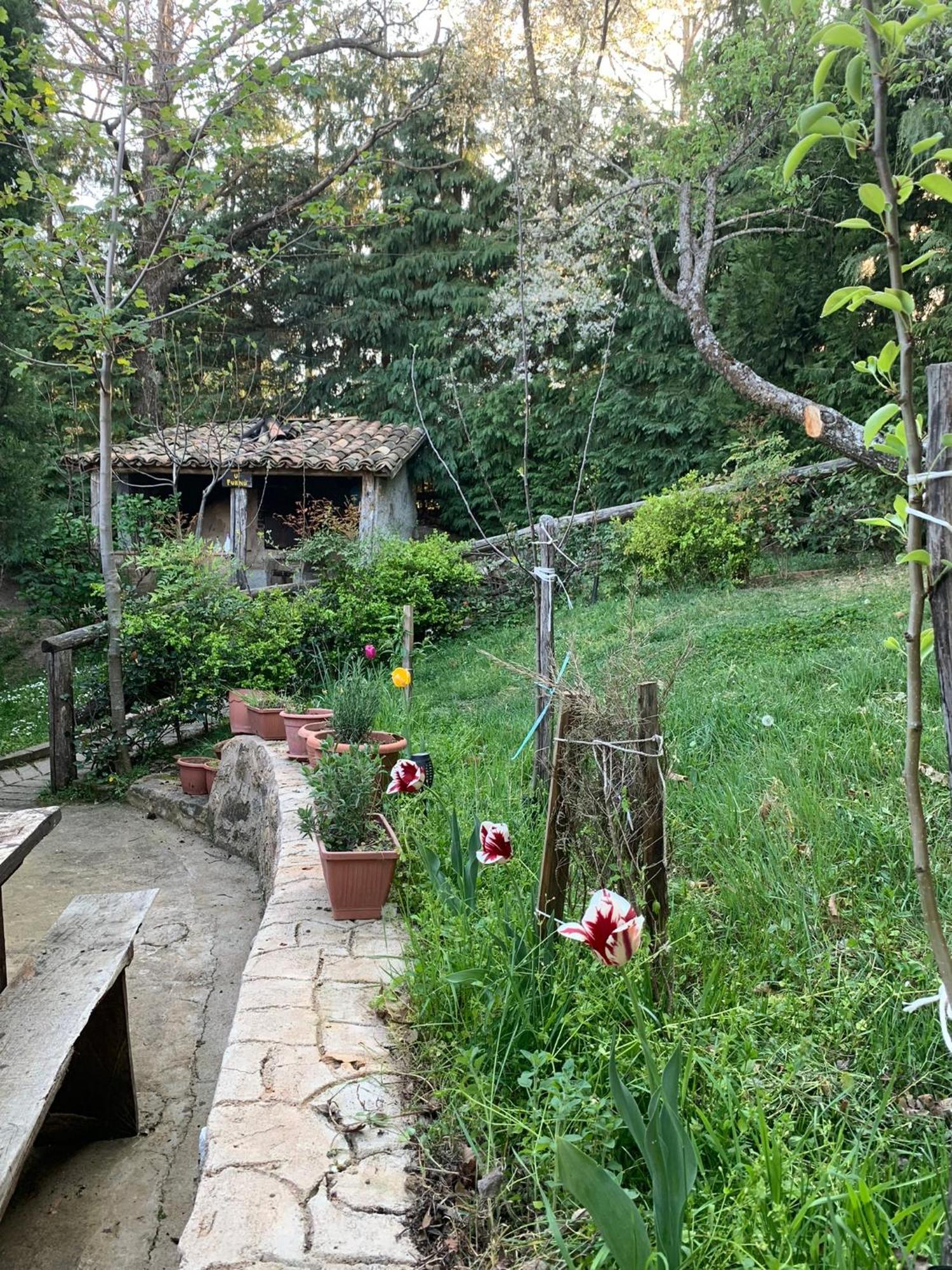 Agriturismo Carrozzino Sersale 외부 사진