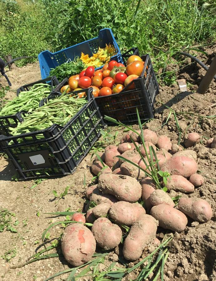 Agriturismo Carrozzino Sersale 외부 사진