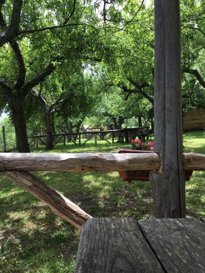 Agriturismo Carrozzino Sersale 외부 사진